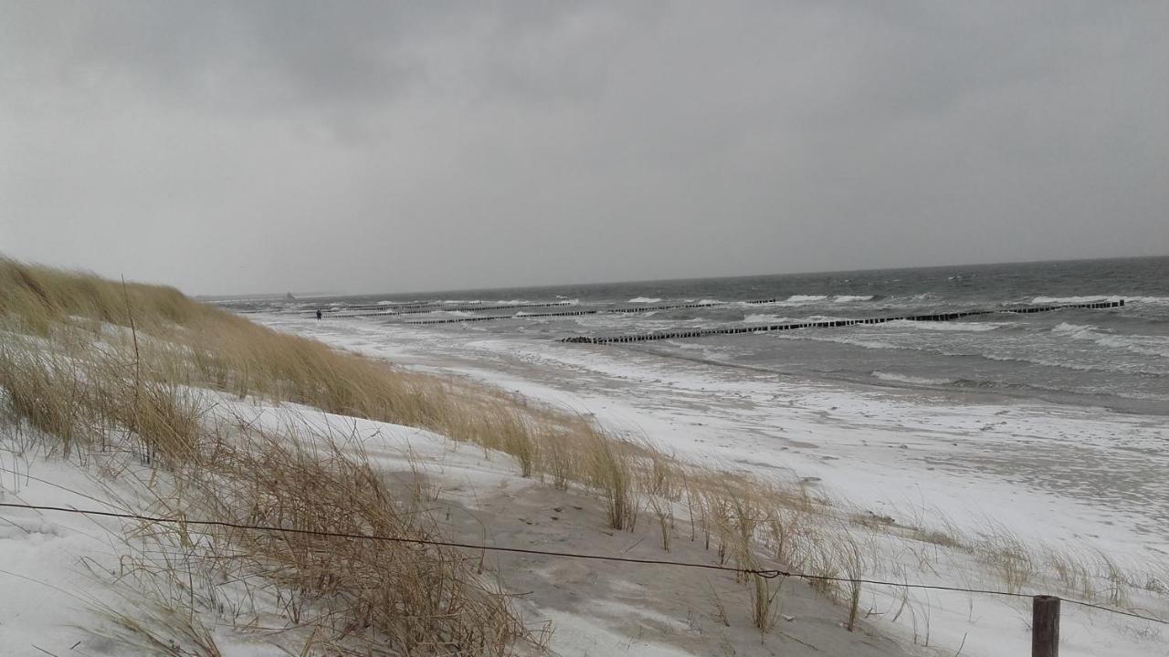 Logierhaus Friedrich We 15 - "Ostseeluft" Zingst Ngoại thất bức ảnh